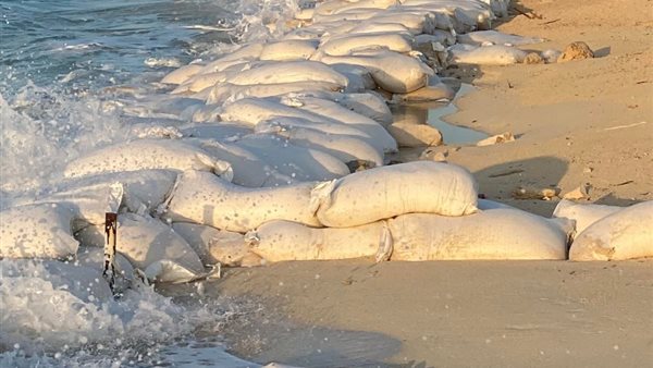 نحر الشواطئ 