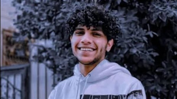 سلايفر بي في