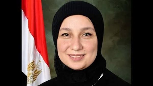 النائبة إيمان الألفي