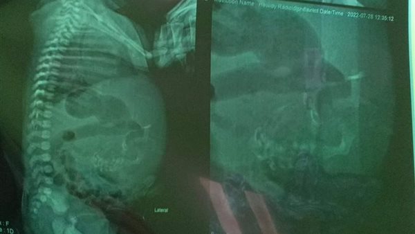 صورة من الحدث 