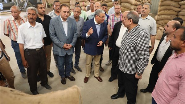 محافظ المنيا 