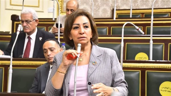  النائبة مها عبد