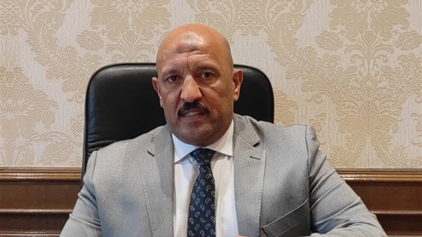  النائب أحمد الحديدي