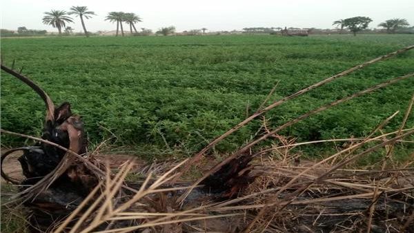  الإسماعيلية