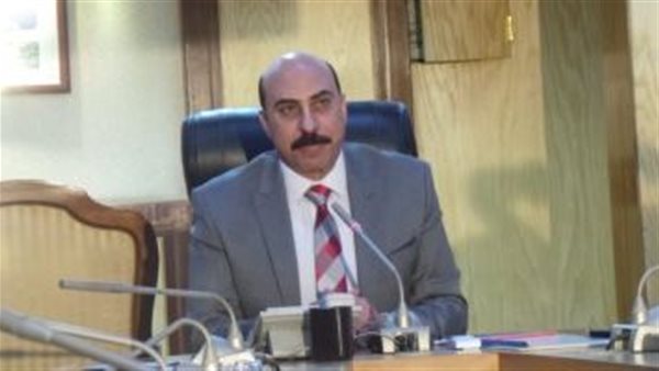 محافظ أسوان