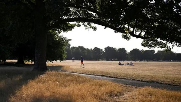 صورة ارشيفية 