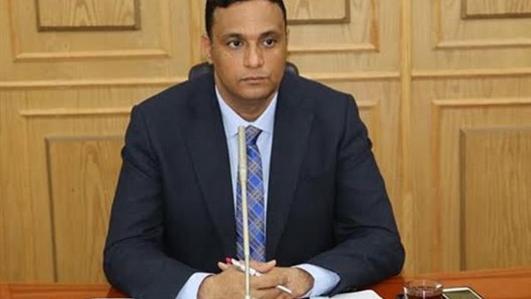 محافظ الدقهلية