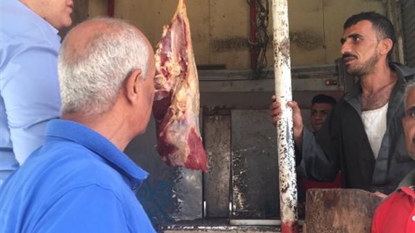 صورة من الحدث 