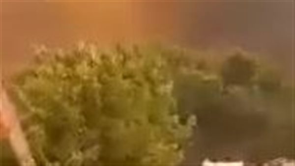 الحريق بالجزائر 