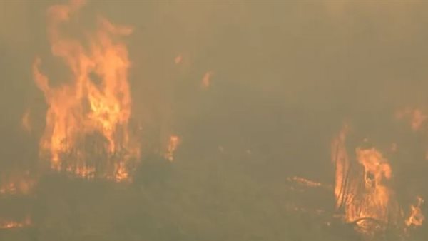 حرائق الجزائر 