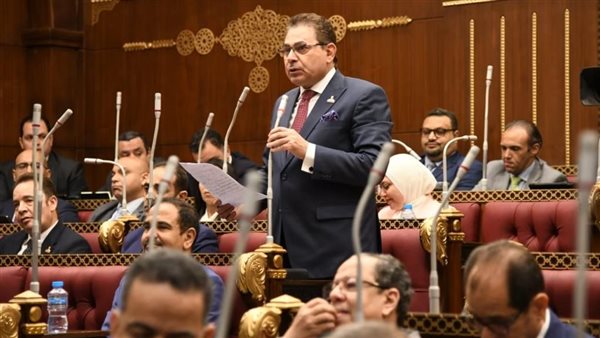  النائب فرج فتحي