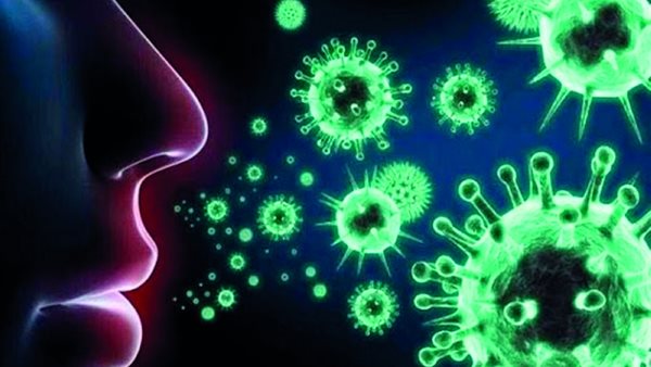 صورة أرشيفية فيروس