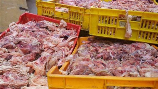 صورة أرشيفية دواجن