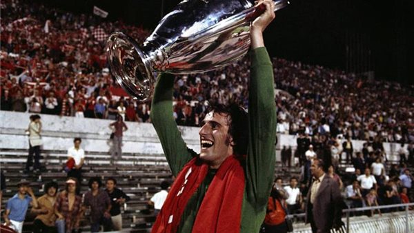 راي كليمينس