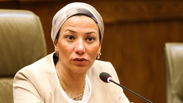 الدكتورة ياسمين فؤاد،