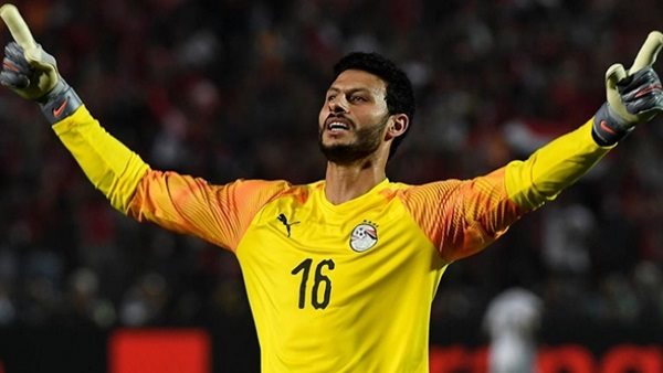 محمد الشناوي