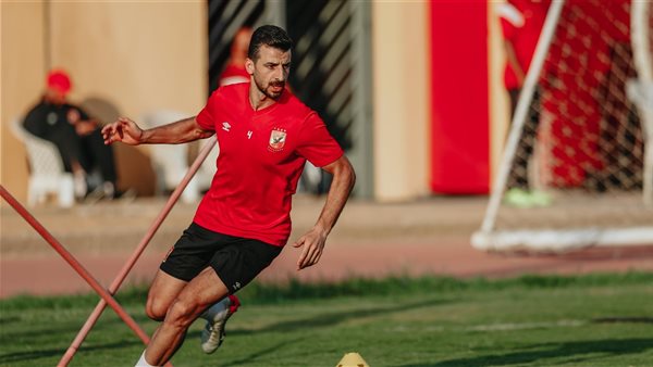 محمود متولي 