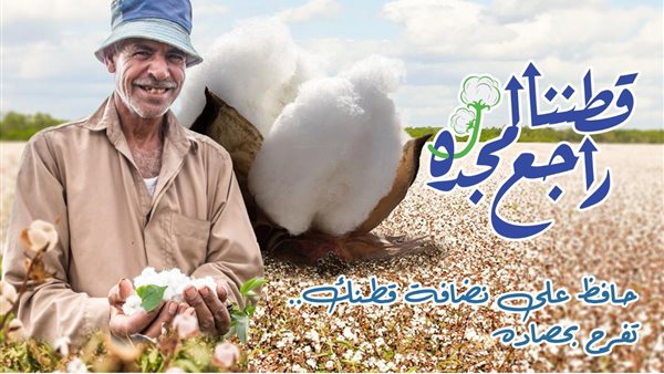 قطننا راجع لمجده