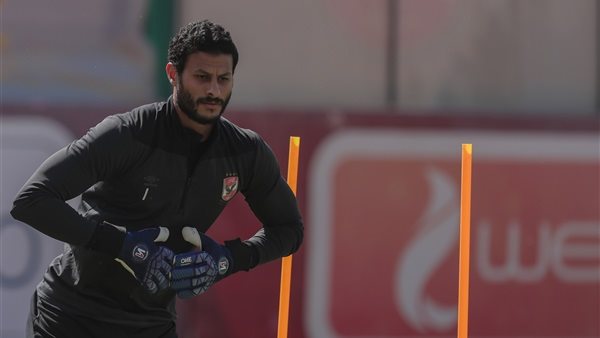 محمد الشناوي