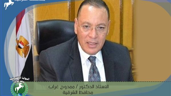 محافظ الشرقية 