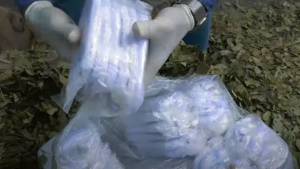 جانب من المضبوطات