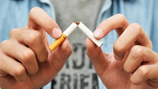 هولندا تحظر بيع السجائر