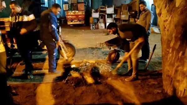 جانب من المشاركة