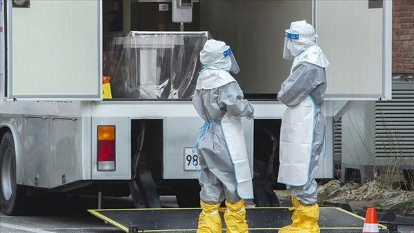 كورونا فى البرازيل