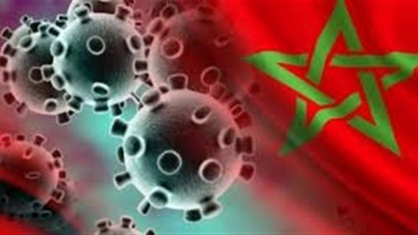 صورة ارشفية