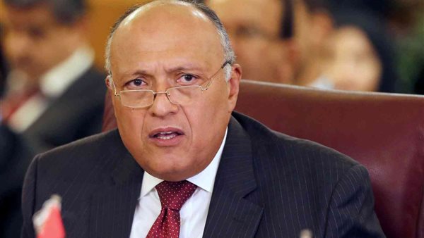 وزير الخارجية 