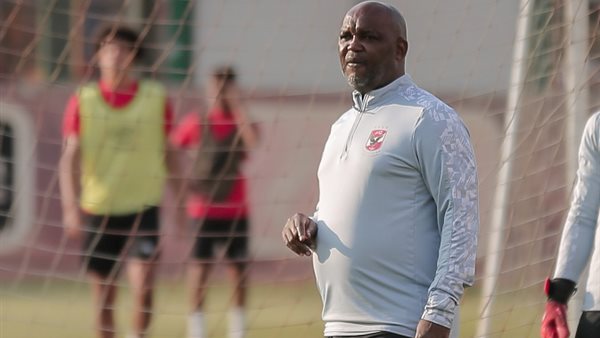 الجنوب إفريقي بيتسو