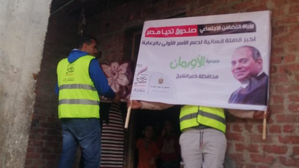 صندوق تحيا مصر 