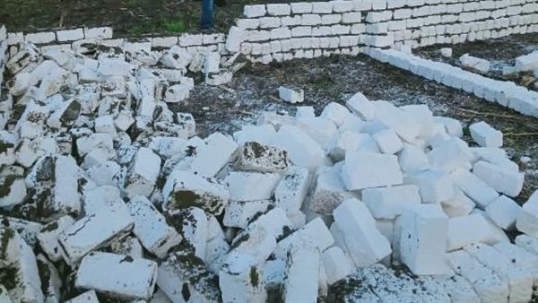 صورة من الحدث