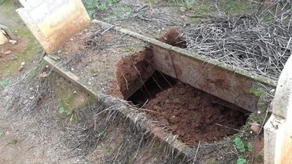 استخراج جثة