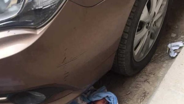 رضيع المريوطية في