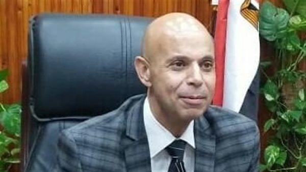  هشام شوقي وكيل وزارة