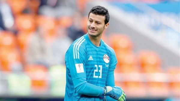 محمد الشناوي