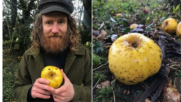 بريطانى يعثر على