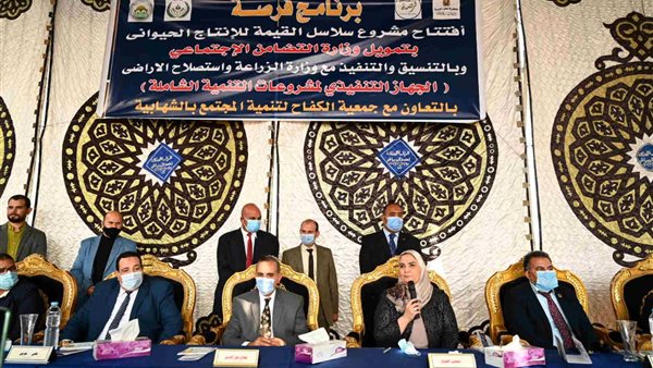 نفين القباج - وزيرة