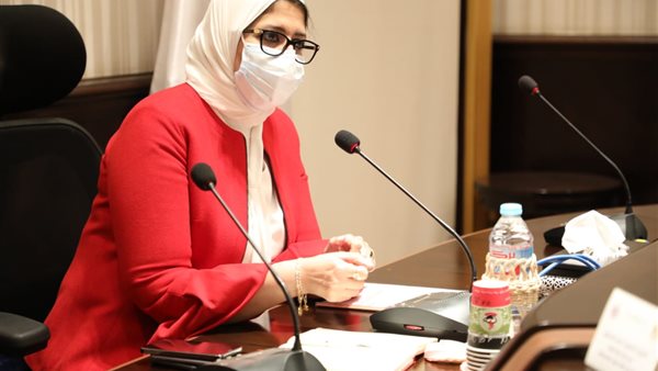 الدكتورة هالة زايد