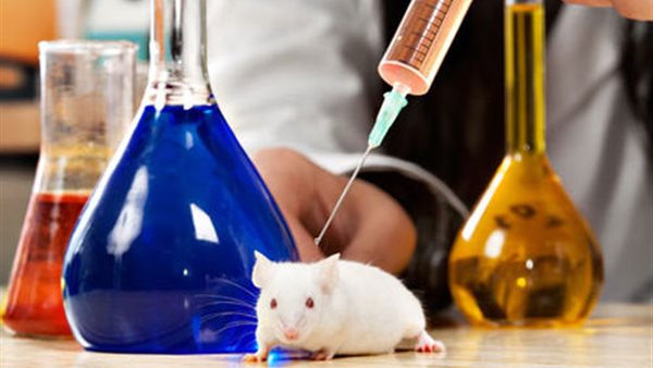 حيوانات التجارب