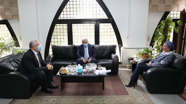 التعاون بين الوزراء