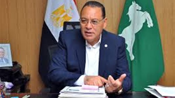 محافظ الشرقية ممدوح