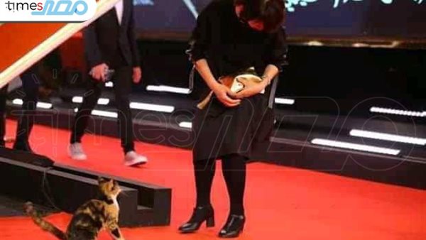 صورة من الحدث