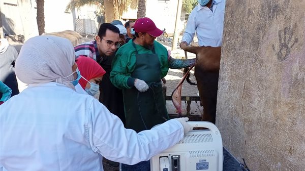 فواقل بيطرية 