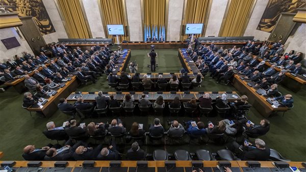 اللجنة الدستورية