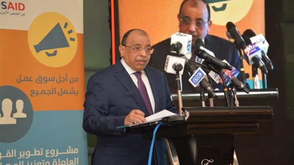 محمود شعراوى وزير