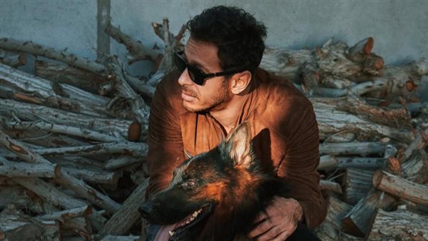 مصطفى شعبان 