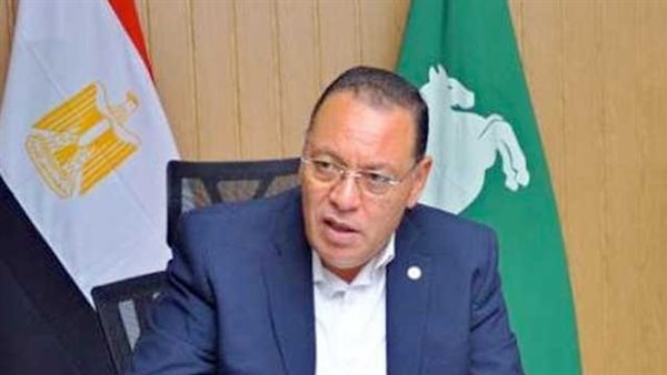 محافظ الشرقية