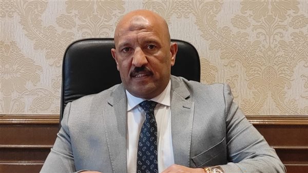 أحمد الحديدي